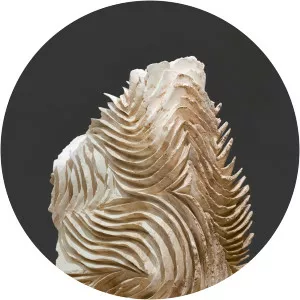 Silvia Westphalen - Sculptor