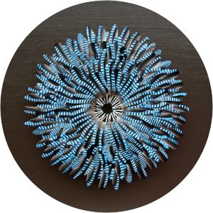 Silvy Weatherall photograph