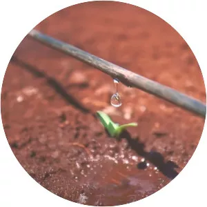 Simcha Blass - Israeli engineer