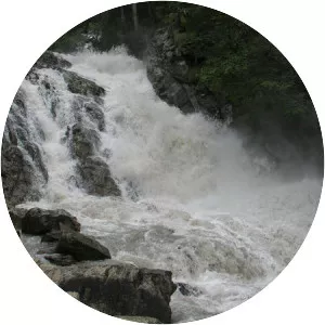 Simme - Tributary in Switzerland