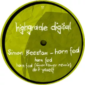 Simon Beeston - Recording artist