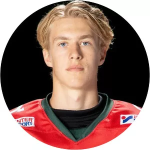 Simon Edvinsson - Ice hockey player