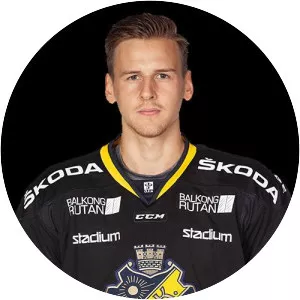 Simon Fernholm - Ice hockey player