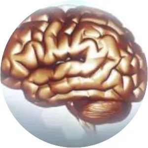 Simon Olding - Author