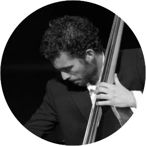 Simon Tailleu - Instrumentalist
