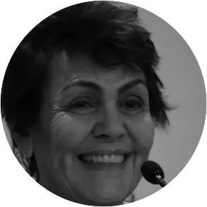 Simone Fattal - Artist