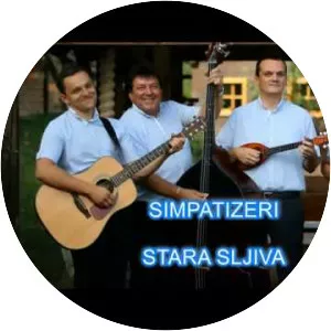 Simpatizeri - Musical artist