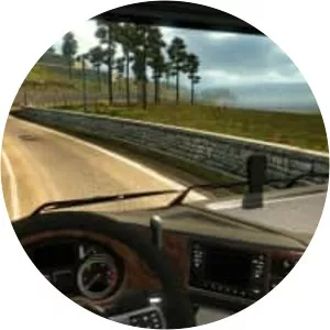 Simulation Video Game