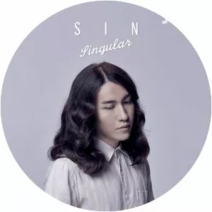 Sin Singular