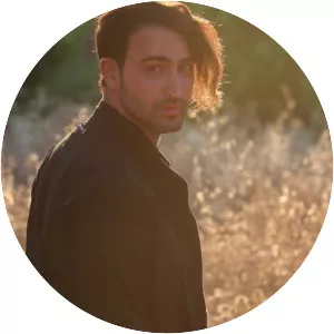 Sina Bathaie - Musical artist