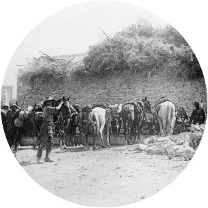 Sinai and Palestine Campaign