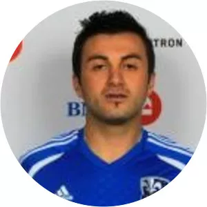 Siniša Ubiparipović