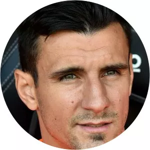 Siniša Anđelković