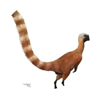 Sinosauropteryx