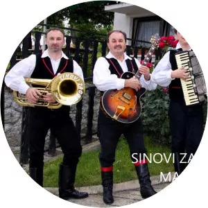 Sinovi Zagorja - Musical artist