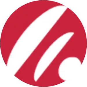 Sinsy - 