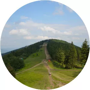 Siodło pod Klimczokiem - 