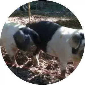 Sir Harold Hillier Gardens