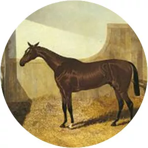 Sir Tatton Sykes