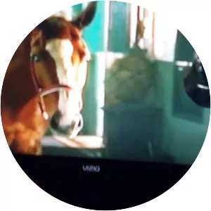 Sir Trenton - Fictional character