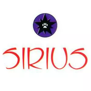 Sirius Entertainment - Company