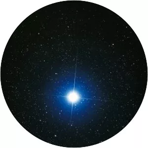 Max Mayeu photograph