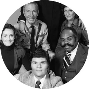 Sirota's Court - 1976 ‧ Sitcom ‧ 1 season