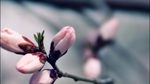 Sisi Estetik - Beauty salon in Istanbul