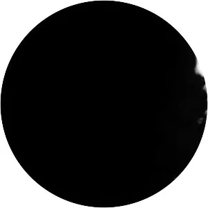 Sisko Electrofanatik - Musical artist