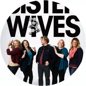 Sister Wives - American television series
