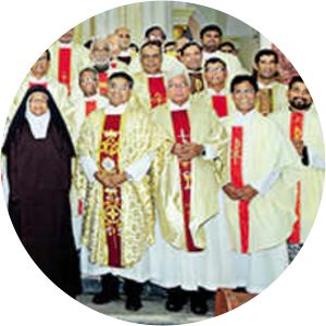 Sisters of the Apostolic Carmel