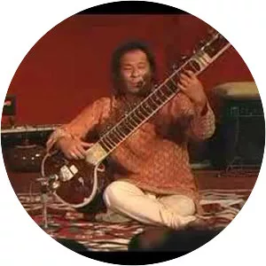 Sitar - Musical instrument