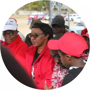 Sithokozile Chamisa - Nelson Chamisa's wife