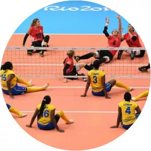 Sitting volleyball photograph