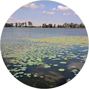 Sivasagar Tank - Borpukhuri