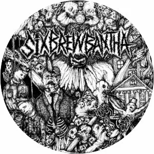 Six Brew Bantha - Musical group