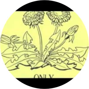 Six Cents and Natalie