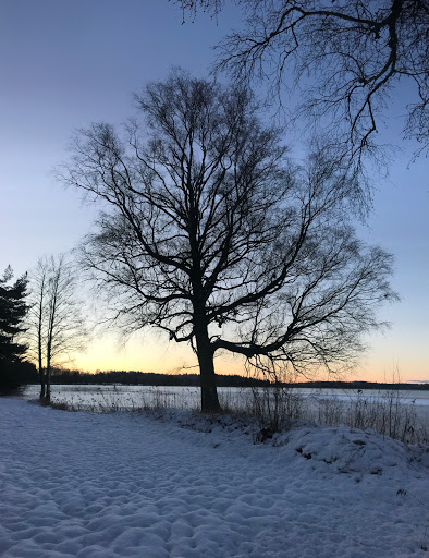 Sixtorp naturreservat - Wildlife refuge in Mullhyttan, Sweden
