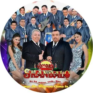 Skandalosa Sonora - Musical artist