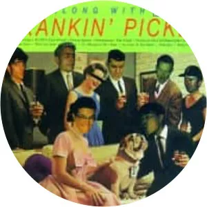 Skankin' Pickle - Band