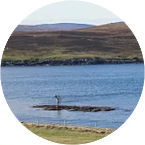 Skate of Marrister - Island in Scotland
