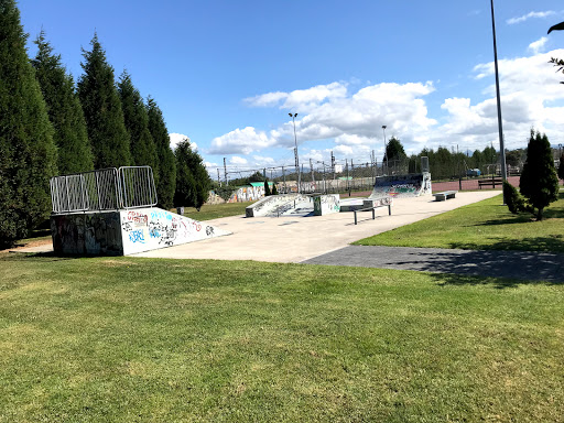 SkatePark Pracesa - Skateboard park in Lugo de Llanera, Spain