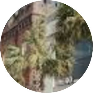 Ski Bailey photograph