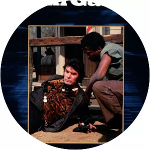 Skin Game - 1971 ‧ Action/Action/Adventure ‧ 1h 42m