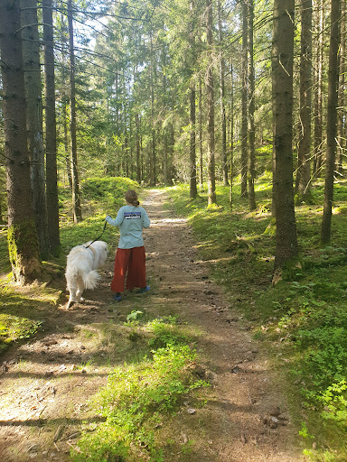 Skiptvet Dyrepensjonat - Pet boarding service in Norway