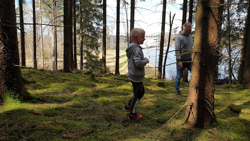 Skogsfors - Bus stop in Sweden