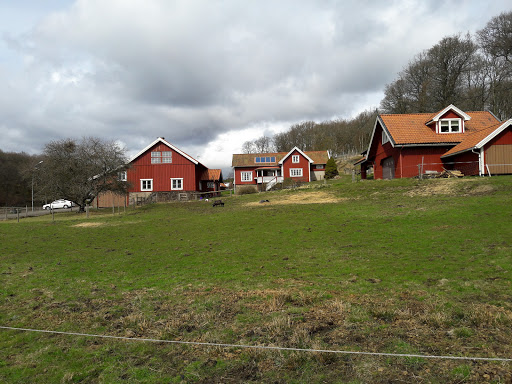 Skolleras Hundpensionat - Lodging in Molndal, Sweden