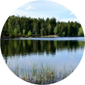 Skredderudtjernet - Lake in Norway