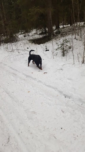 Skvaleberget - Nature preserve in Sweden