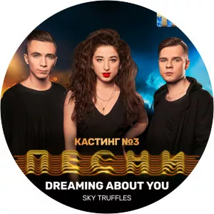 Sky Truffles - Musical artist